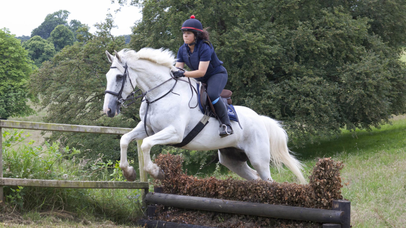 Equestrian Cross Country Jump