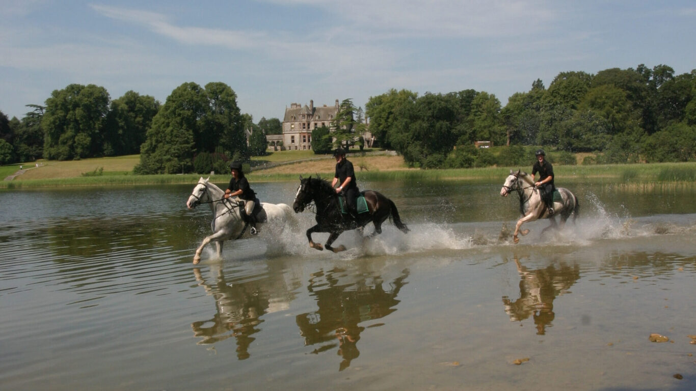 Exteriors Castle the horses galloping