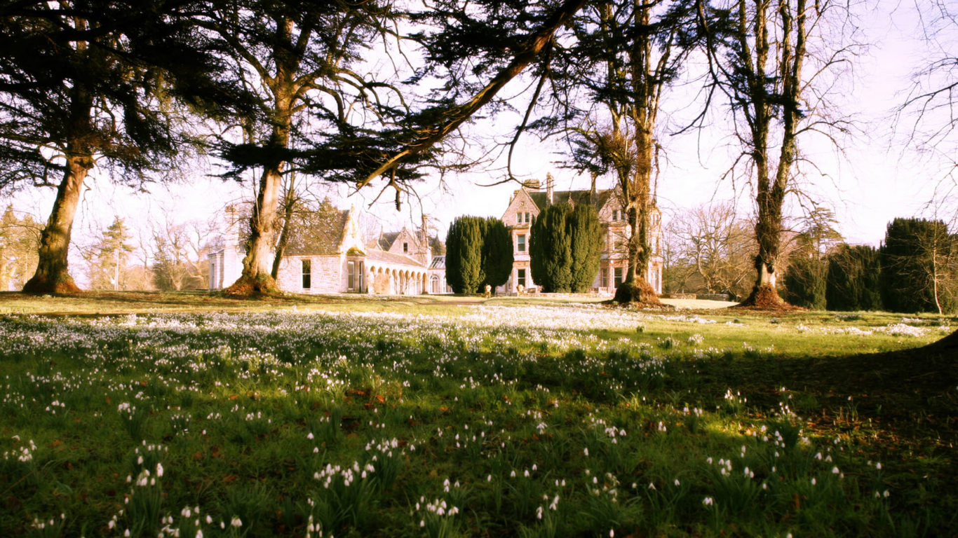 Grounds Castle Wild Garlic