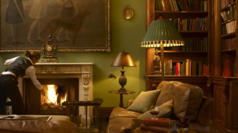 Interiors Castle Library Fire