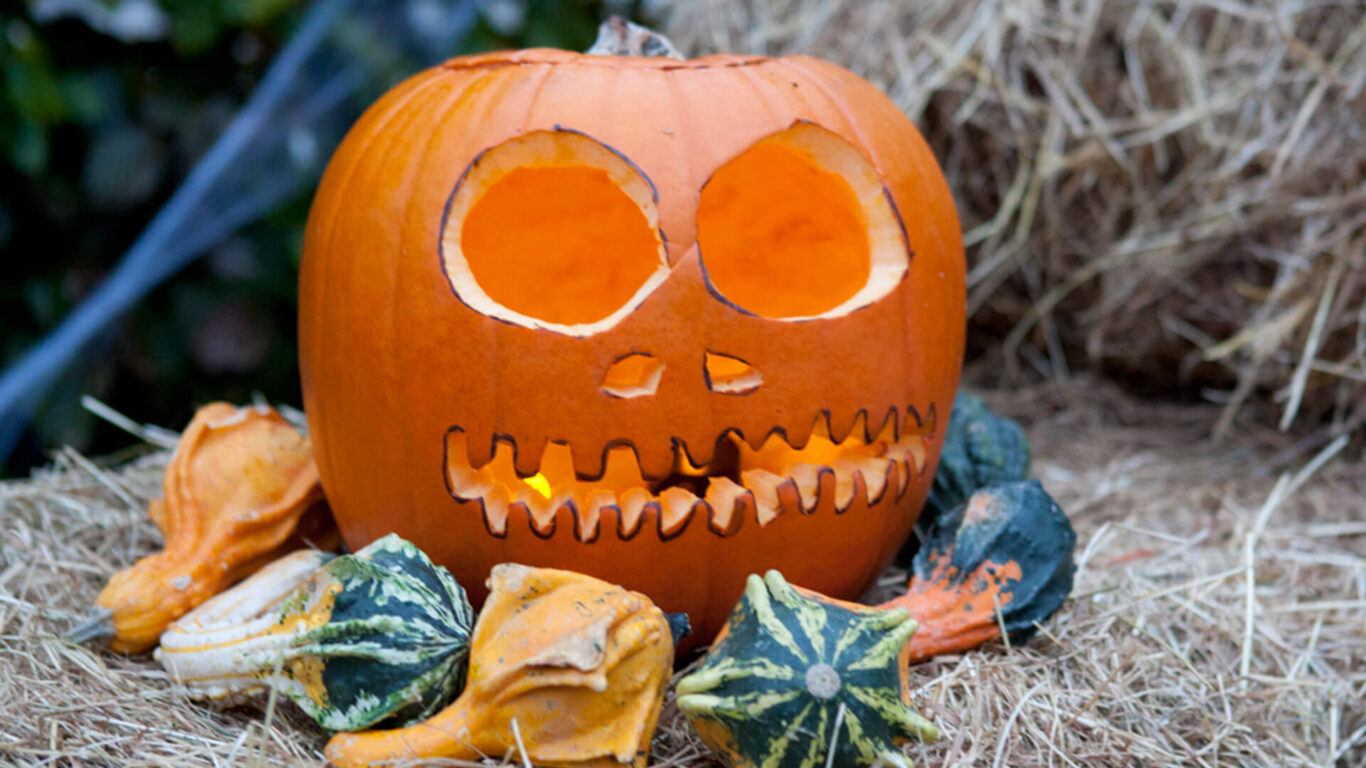 A carved pumpkin with large eyes and jagged teeth sits on straw, surrounded by small decorative gourds.