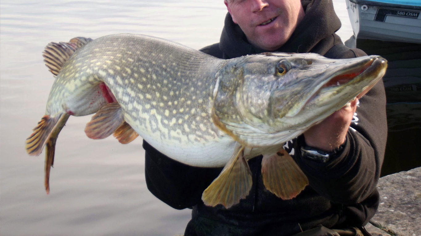Pike-Fishing-High-Res