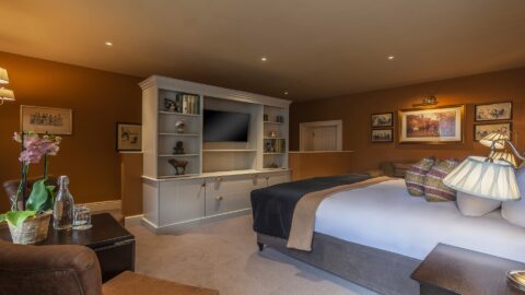 Accessible Room Frosty