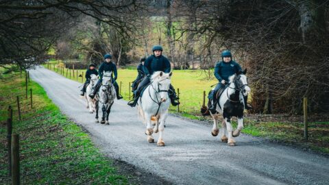 Four people riding horses on a rural gravel road, surrounded by leafless trees and grassy fields.