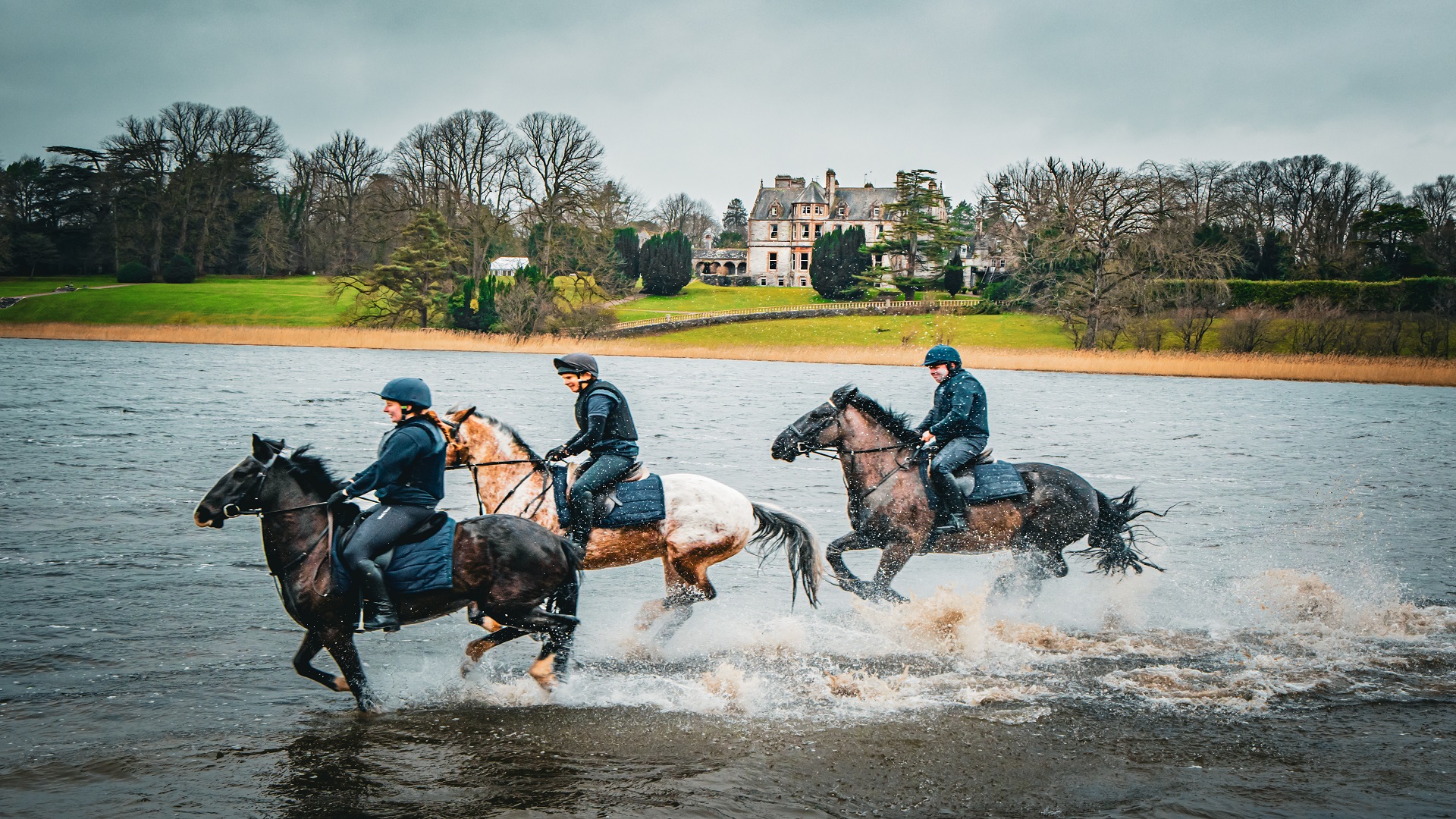 Lifestyles Magazine Equestrian Article