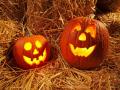 Book A Halloween Break